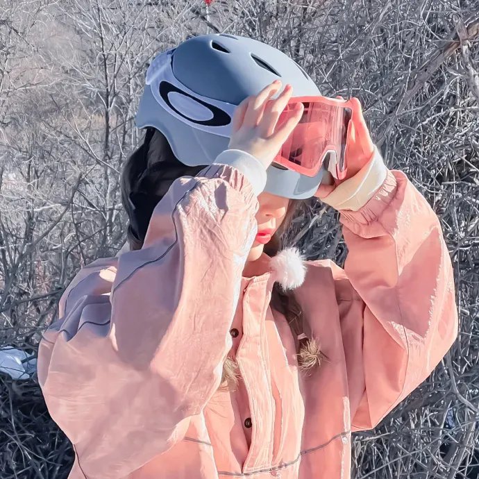 大指挥家:弦上的真相