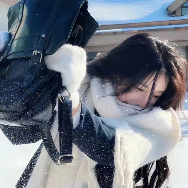 奔驰的撒哈拉