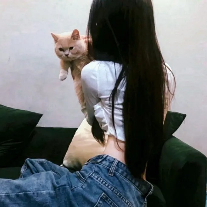 人海绿皮书粤语